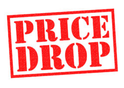 Donuts tries the dirt-cheap domain model – Domain Name Wire