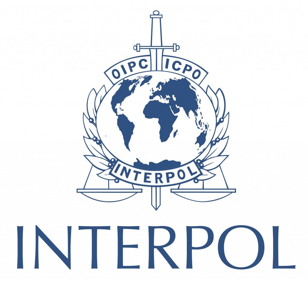 Interpol-led Operation Sees Over 20,000 Domain Names Seized For Selling Counterfeit Goods